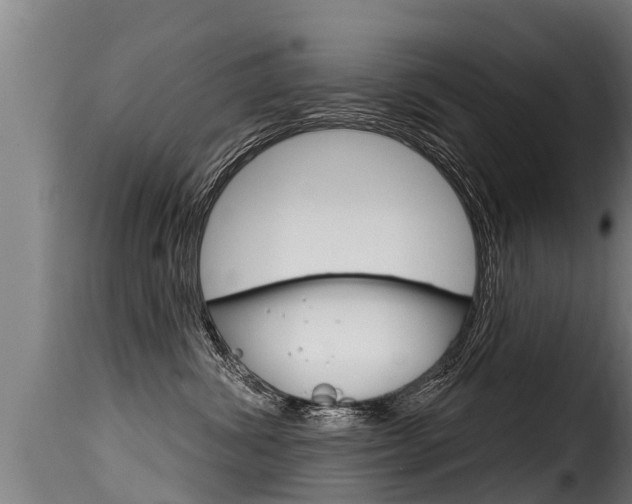 X0000116110428200911230959