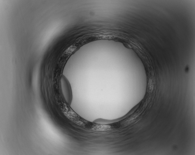 X0000116110429200911230959