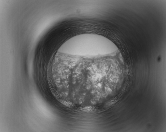 X0000116110430200911230959