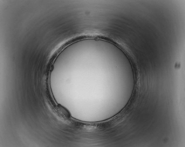 X0000116110440200911230958