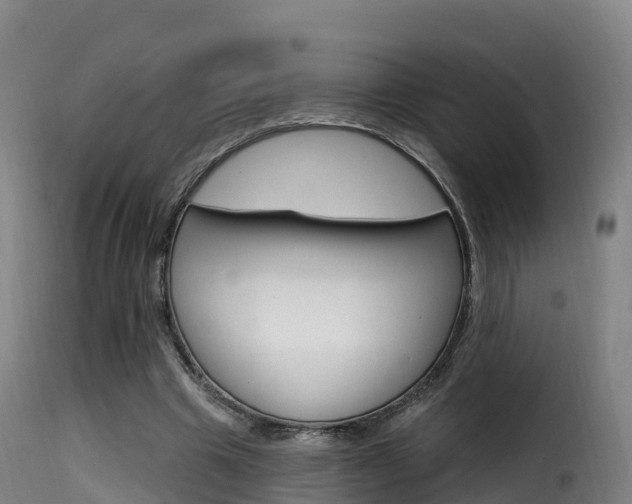 X0000116110441200911230958