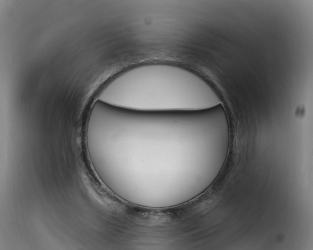 X0000116110443200911230958