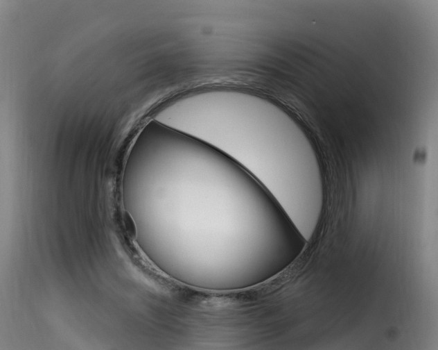 X0000116110444200911230958