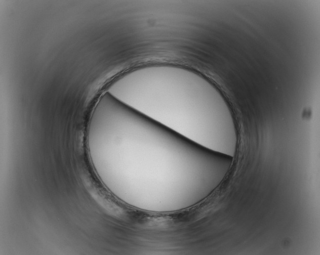 X0000116110446200911230958