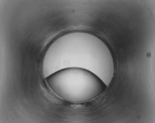 X0000116110448200911230959