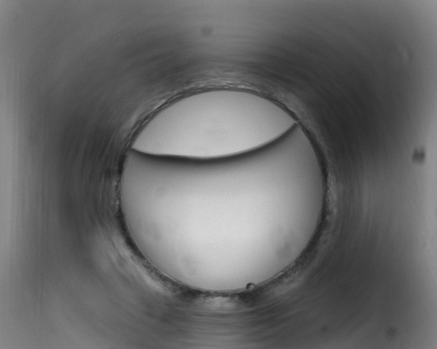 X0000116110449200911230959