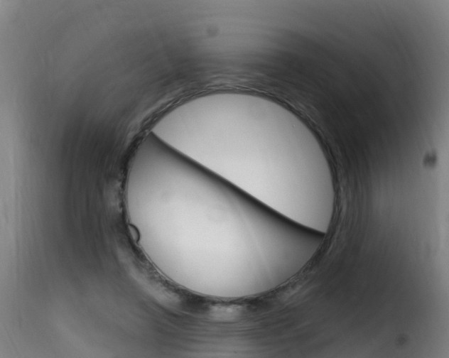 X0000116110450200911230959