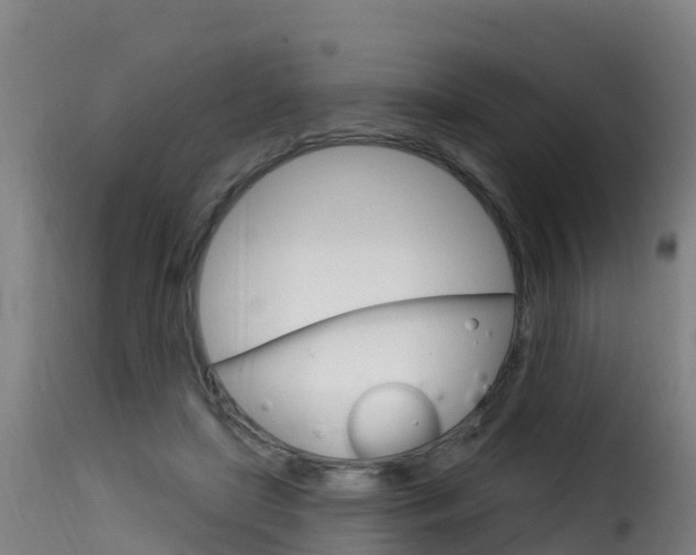 X0000116110451200911230959
