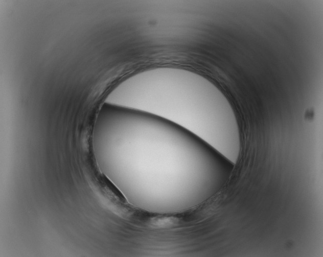 X0000116110452200911230959