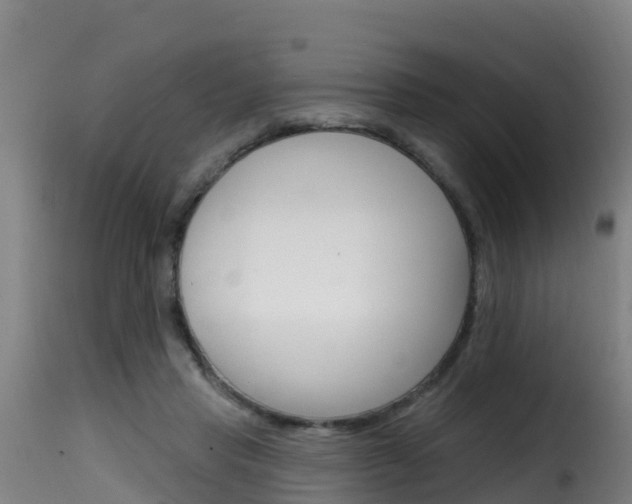 X0000116110453200911230959