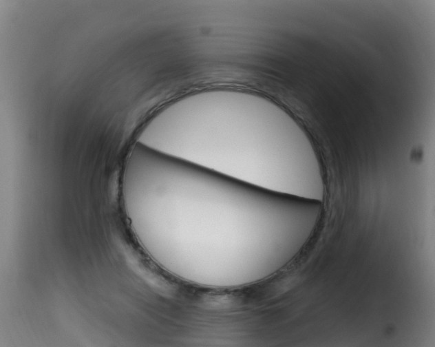 X0000116110454200911230959