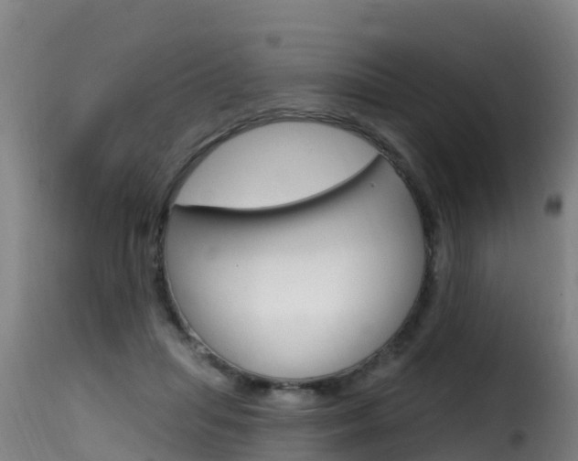 X0000116110455200911230959