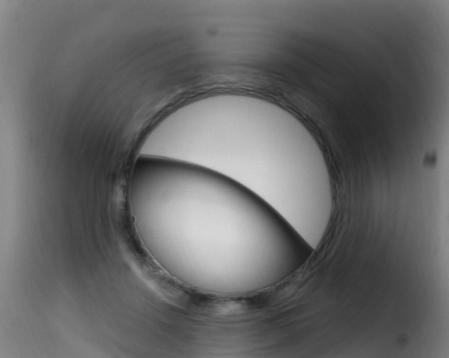 X0000116110456200911230959