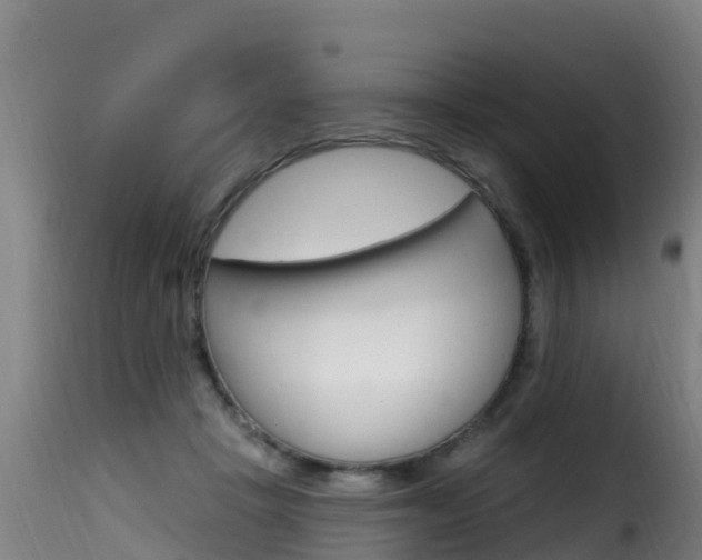 X0000116110457200911230959