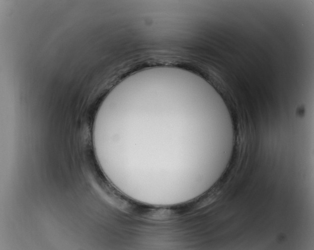 X0000116110459200911230959