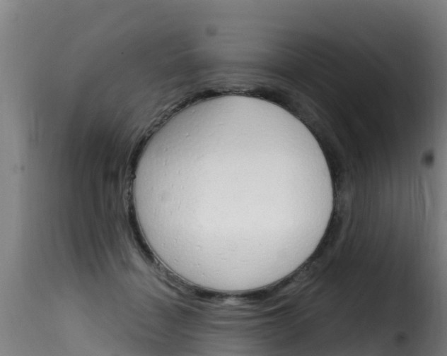 X0000116110460200911230959