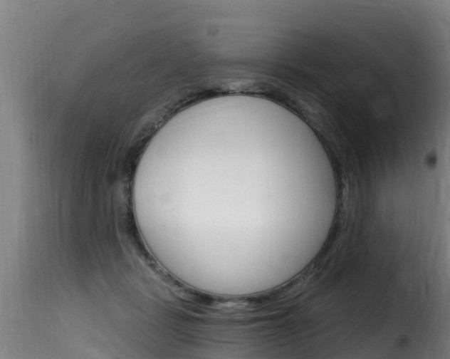 X0000116110461200911230959