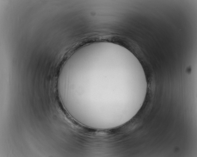 X0000116110462200911230959