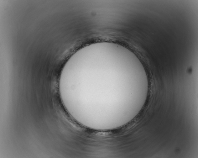 X0000116110465200911230959