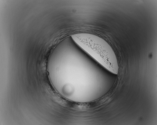 X0000116110466200911230959