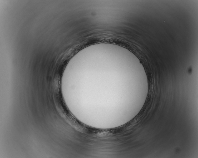 X0000116110468200911230959