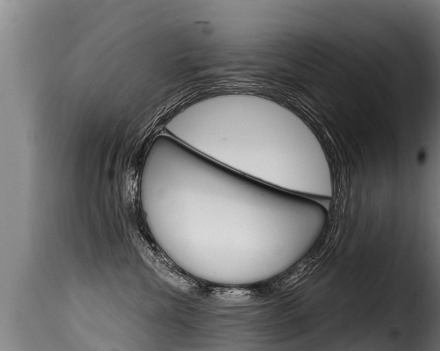 X0000116110476200911230959