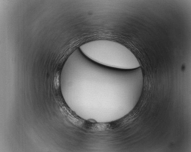 X0000116110479200911230959