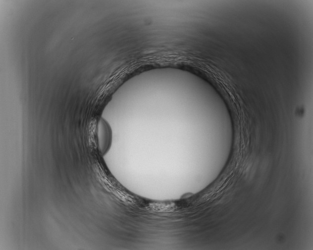 X0000116110480200911230959