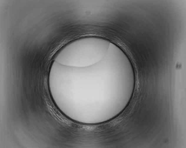 X0000116110482200911230958