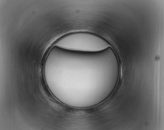 X0000116110483200911230958