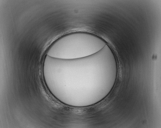 X0000116110486200911230958