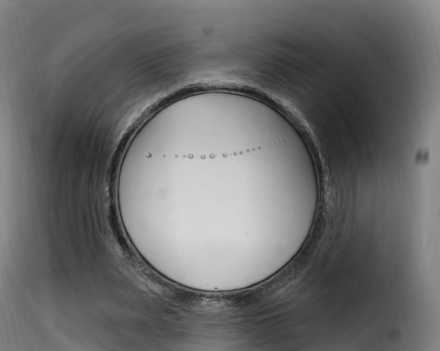 X0000116110487200911230958