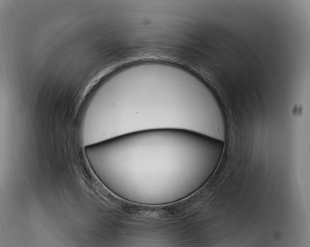 X0000116110488200911230958