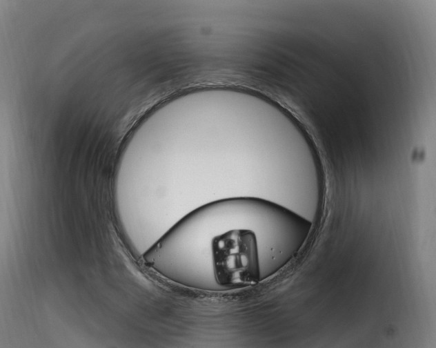X0000116110489200911230958