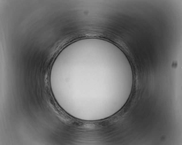 X0000116110490200911230958