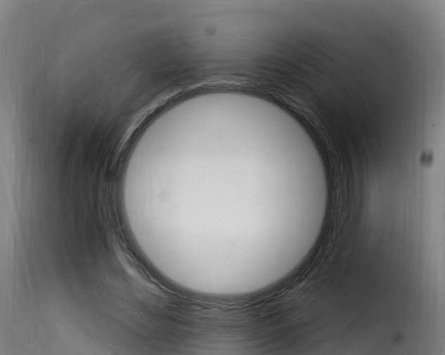 X0000116110492200911230958