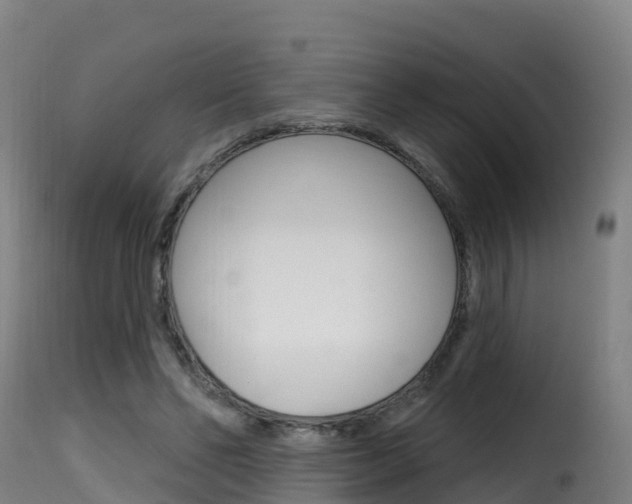 X0000116110494200911230958