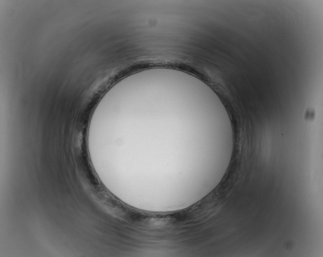 X0000116110495200911230958