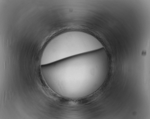 X0000116110496200911230958