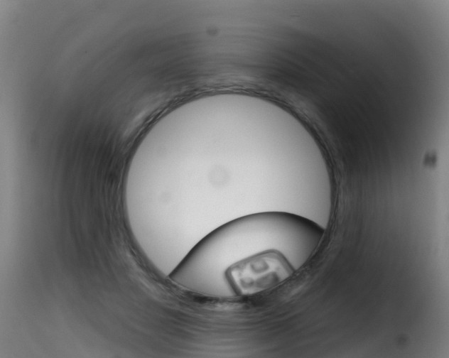 X0000116110501200911230958