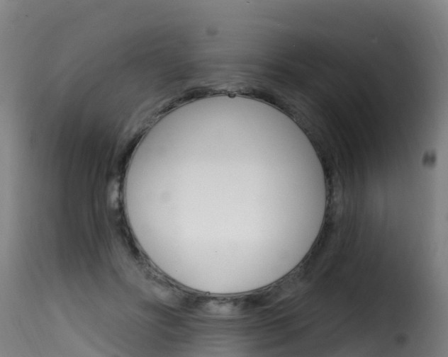 X0000116110502200911230958