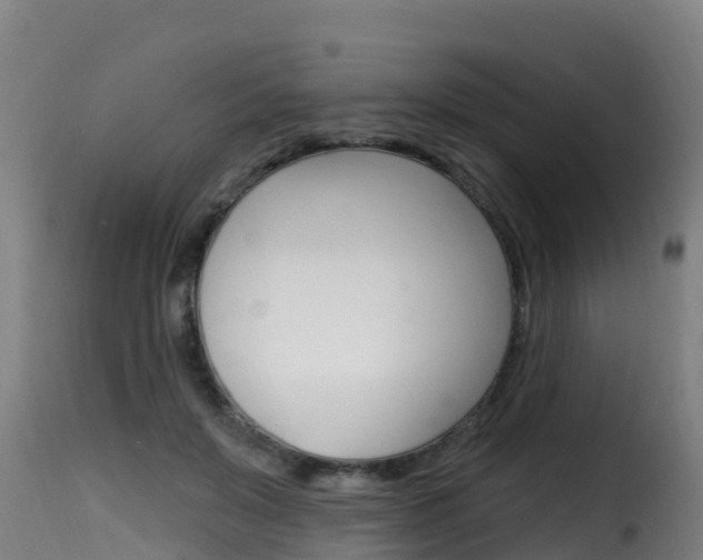 X0000116110503200911230958