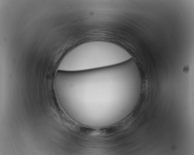 X0000116110504200911230958