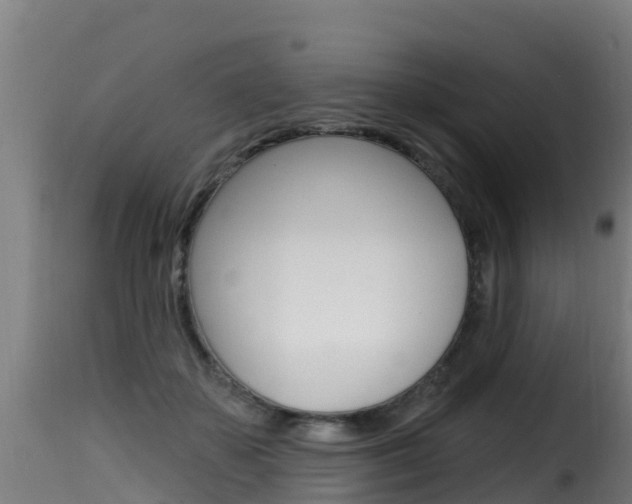 X0000116110507200911230958