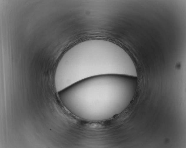 X0000116110512200911230958