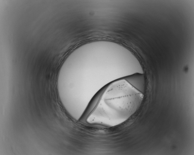 X0000116110513200911230958