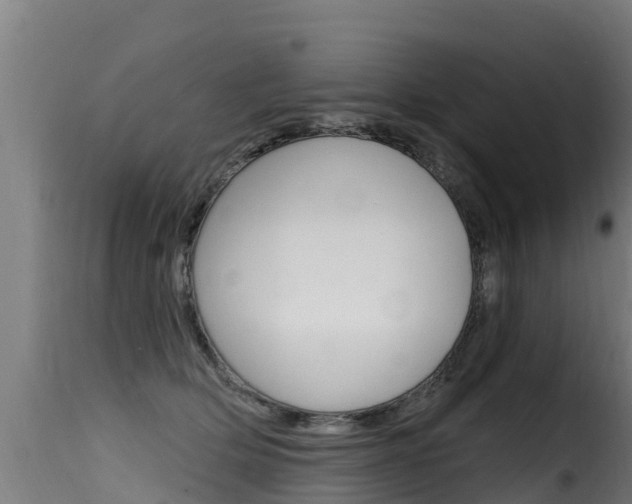 X0000116110514200911230958