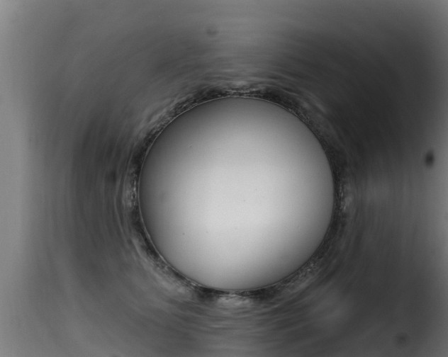 X0000116110515200911230958