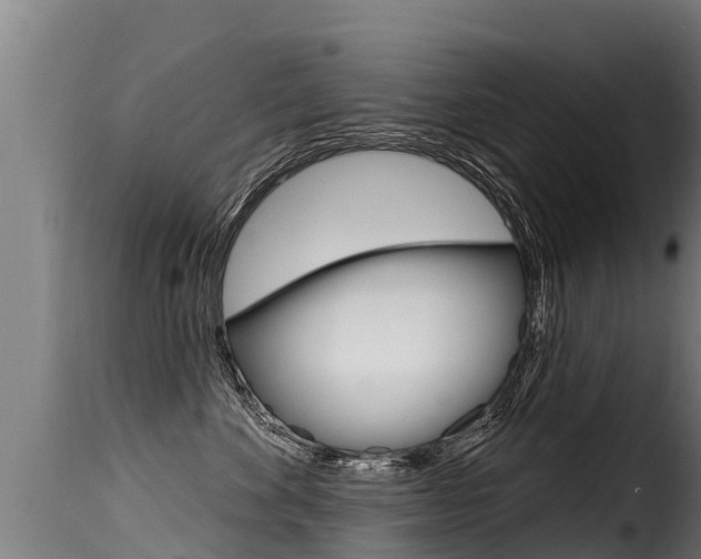 X0000116110524200911230958