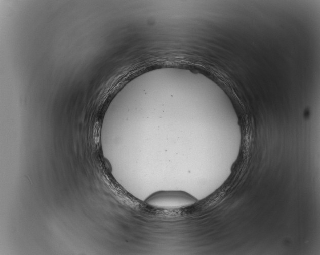 X0000116110525200911230958